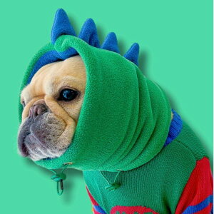 [yTOOFzDINO SNOODiGREEN/BLUEj [ TOOF DINO SNOOD GREEN BLUE g|bv fUC Xk[h {Ɛ̔ URBAN DOG TOKYO g