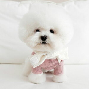 \̔ynear by uszPalette Wool Knit Topimix berryj  hbOEFA ̕ pi hbOObY ؍ X[uX ^ ^ t
