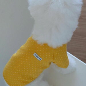 \̔yFREDDIE TALEzDotter raglan tee(yellow)  hbOEFA ̕ ^ ^ TVc X[uX pi hbOObY ؍