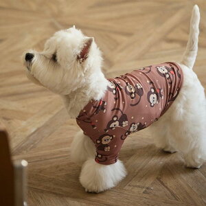 \̔yandblankzBebe Peanut Monkey AeroHeat T-Shirts  hbOEFA ̕ h ~ ~ pi hbOObY ؍ TVc