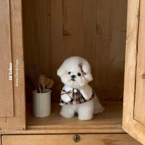 \̔yHi YeboozKona Check Cape pi hbOObY hbOEFA  ̕ ^ ^ P[v s[X ؍