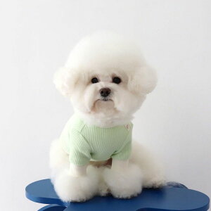 \̔yChiotzSherbet waffle T-shirtiMelon greenj ؍ uh 킢  v[g ^ NEW t  H