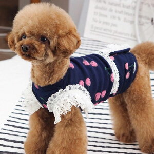 ※予約販売【GET BACK】チェリープリントマナーベルト 韓国 ブランド かわいい おしゃれ プレゼント 小型犬 マナー用品 トイレ マナーベルト NEW 犬