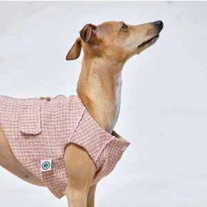 [yMOI ET LE CHIENzcC[hxXg&n[lXisNj ؍ uh 킢  v[g ^ n[lX [h NR[f NEW t  H v 