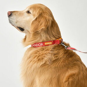 \̔yiCANDORzGentle Collar DualiSIGNATUREjL pi hbOObY  ̎ hbOJ[  p ؍ Upi UObY ̃n[lX
