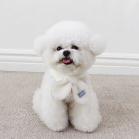 ※予約販売【Chiot】Signature muffler（Blue） 韓国 ブランド かわいい おしゃれ プレゼント 小型犬 NEW 秋 冬 軽量