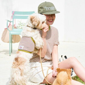 [ynouttizVintage Stripe T-ShirtiOlivej ؍ pi hbOObY TVc X[uX hbOEFA  ̕ ^ ^