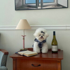 ※予約販売【Hi Yeboo】The Fall Dress(Navy) 韓国 ブランド かわいい おしゃれ プレゼント 小型犬 ワンピース ドレス NEW 春 夏 秋 冬