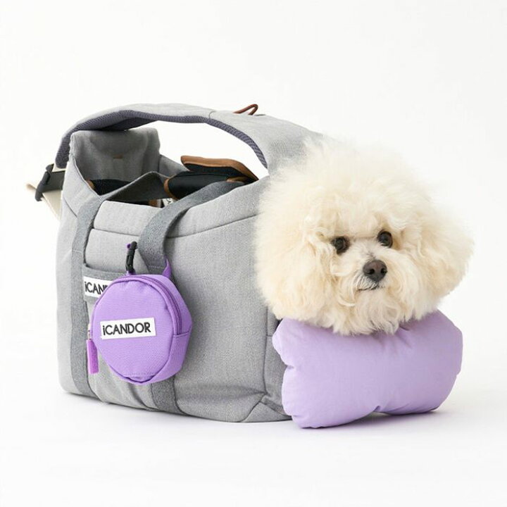 楽天市場】即納【iCANDOR】PEEK-A-BOO BAG オプション（COSY CUSHION 