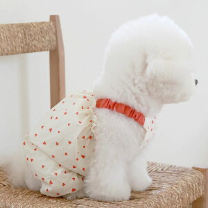 [ynear by uszHeart RomperiRedj  hbOEFA ̕ ^ ^ ؍ pi hbOObY t 