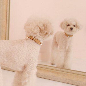 \̔ymaison de miuz Solid Pearl CollariCamel / Red / Deep Green / Navy / Blackj ؍ uh 킢  v[g ^  ^I UObY NEW