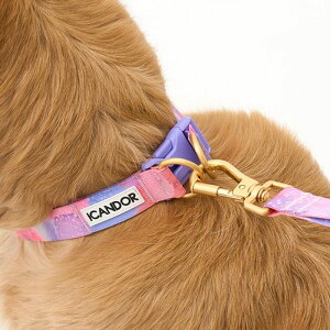 \̔yiCANDORzGentle Collar DualiMILKY WAYjL  p ֒^ ֑^ ^ hbOJ[ p ybgp  Upi UObY  킢  U v 