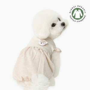 \̔yITS DOGzOrganic Petty Balloon T-ShirtiStripej  hbOEFA ̕ ^ ^ TVc X[uX pi hbOObY ؍