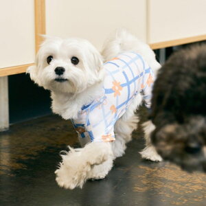 \̔ymunikundzBug Guard All-In-One (Blue Flower)  hbOEFA ^ ^ ^ t ĕ H ~ h ʋC