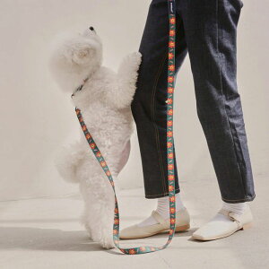 [yandblankzFLOWER LION LEAD ؍ pi hbOObY [h U[h ̃[h p[h j [ [h