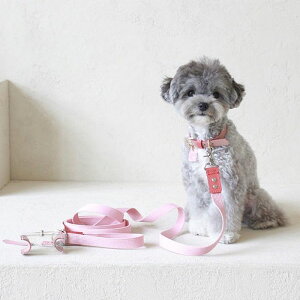 \̔ymaison de miuzPet Collar (Pink / Coral) ؍ uh 킢  v[g ^  ^I NEW t 