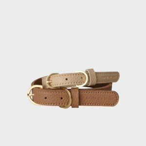 [yOOPS! MY DOGzWoof Collar ؍ uh 킢  v[g ^  [h UObY NEW v