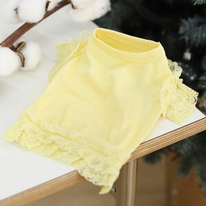 [yGET BACKzGet heat sleevelessiYellowj  hbOEFA ̕ X[uX pi hbOObY ؍ ^ ^ t