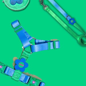 \̔yTOOFzFlower Logo H HarnessiGREEN / BLUEj pi hbOObY n[lX hbOn[lX n[lX pn[lX [h p[h [h U[h ؍