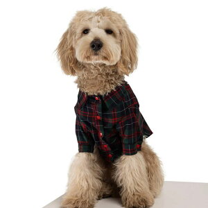 [yMOSHIQAzBrad Dog Shirt AJ pi hbOObY TVc X[uX hbOEFA  ̕ ^ ^