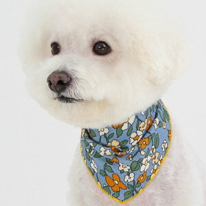 \̔yforeverybarizMagnolia Floral ScarfiDust Bluej ؍ pi hbOObY hbOEFA  ̕ ^ ^ ^ ^