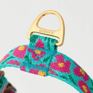 ※予約販売【iCANDOR】No-Pull Harness(BIG FISH MINT) 犬ハーネス 犬用ハーネス 犬ハーネス中型犬 小型犬 中型犬ハーネス ドッグハーネス 犬用 ペット用 ハーネス 散歩用品 散歩グッズ おしゃれ か
