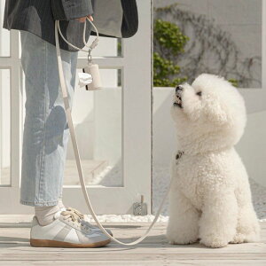 \̔yChiotzPremium Leather Collar ؍ uh 킢  v[g ^ obO  [h UObY NEW v z_[