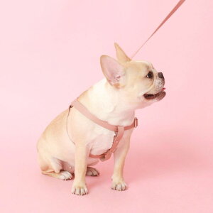 \̔ymaison de miuz Running Mate HarnessiRose Pinkj ؍ uh 킢  v[g ^ n[lX ̎qObY ̎q ^I UObY NEW 