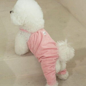 \̔yOUNCEzterry all in oneiPinkj ؍ pi hbOObY TVc X[uX hbOEFA  ̕ ^ ^