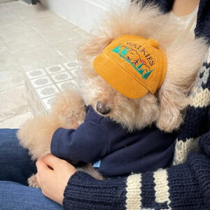 \̔yFREDDIE TALEzWALKIES corduroy ball capiYellowj ؍ pi hbOObY hbOEFA  ̕ ^ ^ t t ʋC