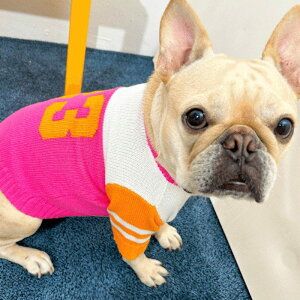 \̔yTOOFzTOOF SPORTY VARSITY SWEATERiPink/Orangej  hbOEFA ̕ ^ ^ pi hbOObY AJ ؍ t ĕ