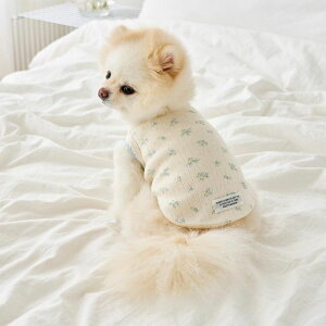 \̔ynouttizVintage ribbon sleevelessiivoryj  hbOEFA ̕ X[uX pi hbOObY ^ ^ t  H