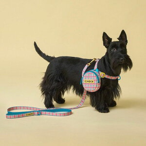 [yiCANDORzGentle LeashiEDINBURGH CHECKj ؍ pi hbOObY ̃[h p[h U[h j [ ̃n[lX hbOn[lX