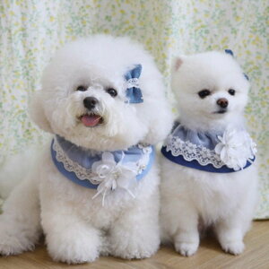 [yPets&MezBlooming Denim Scarf - 2color pi hbOObY ؍ XJ[t  ^ ^ fj JWA 