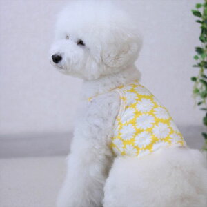 [yoriginalzfCW[`[tV[gL~gbviCG[j ؍ uh 킢  v[g ^ gC NEW t 