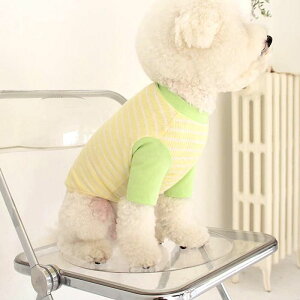 [yMon amizI[^sNjbNOX[uiCG[j ؍ uh 킢  v[g ^ NEW t  H 