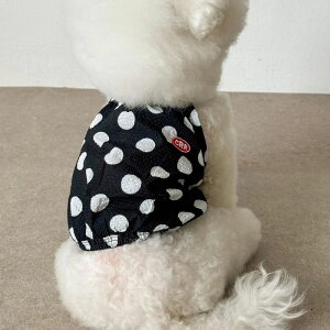 \̔yCRRzBig Dot Balloon Strap TopiBlackj ؍ pi hbOObY TVc X[uX hbOEFA  ̕ ^ ^