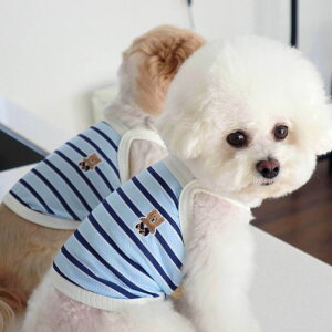 [yDURANG RURANGzStripe Bear Cool-TiDeep Bluej  hbOEFA ̕ ^ ^ TVc X[uX pi hbOObY 