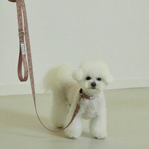 \̔yforeverybarizMarble Heart Pet LeashiChocolatej ؍ pi hbOObY [h p[h ̃[h U[h }i[|[` v S