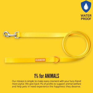 [yiCANDORzCAPRI WATERPROOF LEASHiYellowj ؍ pi hbOObY [h Upi U[h ̃[h p[h j }i[|[`