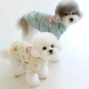 \̔yITS DOGzHave Fun Pure Cotton T-Shirt  hbOEFA ؍ pi hbOObY TVc X[uX ̕ ^ ^