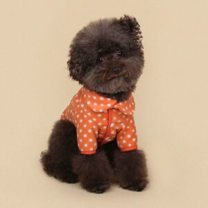 \̔yCRRzDot Fang Round Collar FleeceiOrangej  hbOEFA ̕ ؍ pi hbOObY H ~ H ~