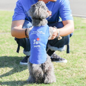 [yFIFA WORLD CUP QATAR 2022_zFIFA dog sleevelessiBluej p m[X hbOEFA ̕ L̕ L  TbJ[ {\ { Wp JAPAN TCWp JAPAN ItBVCZ