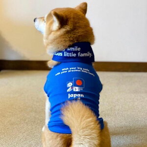 [yFIFA WORLD CUP QATAR 2022_zFIFA dog sleevelessiBluej p m[X hbOEFA ̕ L̕ L  TbJ[ {\ { Wp JAPAN TCWp JAPAN ItBVCZ