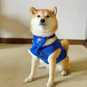 ���[�yFIFA WORLD CUP QATAR 2022_�zFIFA dog sleeveless�iBlue�j���� ���p �m�[�X�� �h�b�O�E�F�A ���̕� �L�̕� �L �� �T�b�J�[ ���{��\ ���{ �W���p�� JAPAN �T�����C�W���p�� ��JAPAN �I�t�B�V�������C�Z
