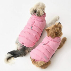 ���\��̔��yiCANDOR�zADVENTURE PARKA THEMO 3�iSALTY PINK�j ���� �h�b�O�E�F�A �؍� ��^���� ���^���� ���^���� �t�� �ĕ� �H�� �~��