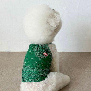 \̔yCRRzSoft Paisley Strap TopiGreenj ؍ pi hbOObY TVc X[uX hbOEFA  ̕ ^ ^