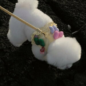 [yBeBe BreathzBev cham mickey ribbon ؍ pi hbOObY n[lX { y y LN^[ ~bL[ fBYj[