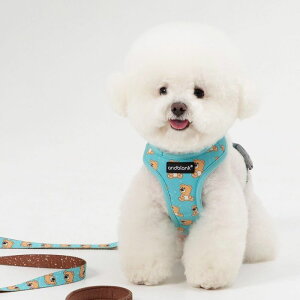 \̔yandblankzICONIC Joy Bear HarnessiMintj pi hbOObY n[lX hbOn[lX n[lX pn[lX ؍  [h ̃[h