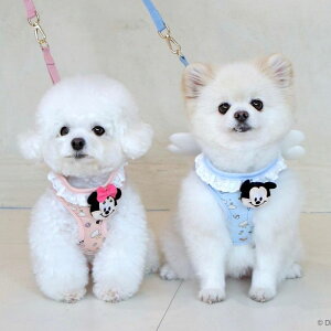 [yITS DOGzDisney baby friends angel harness n[lX fBYj[ disney ~bL[ mickey ؍ pi hbOObY hbOEFA 
